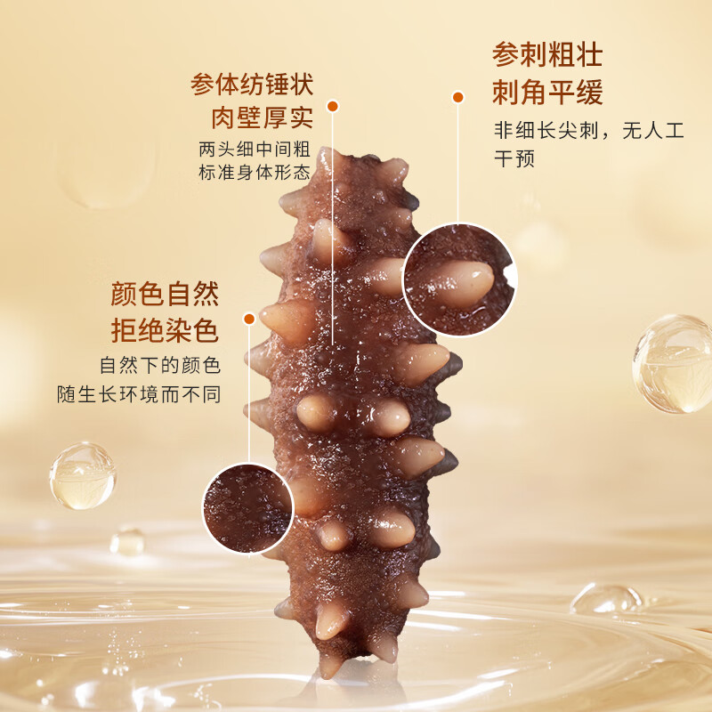 獐子岛即食海参大连辽刺参参萌萌冷冻开袋缓化即食非淡干袋装鲜食海参 即食海参 1000g 2袋16-20头