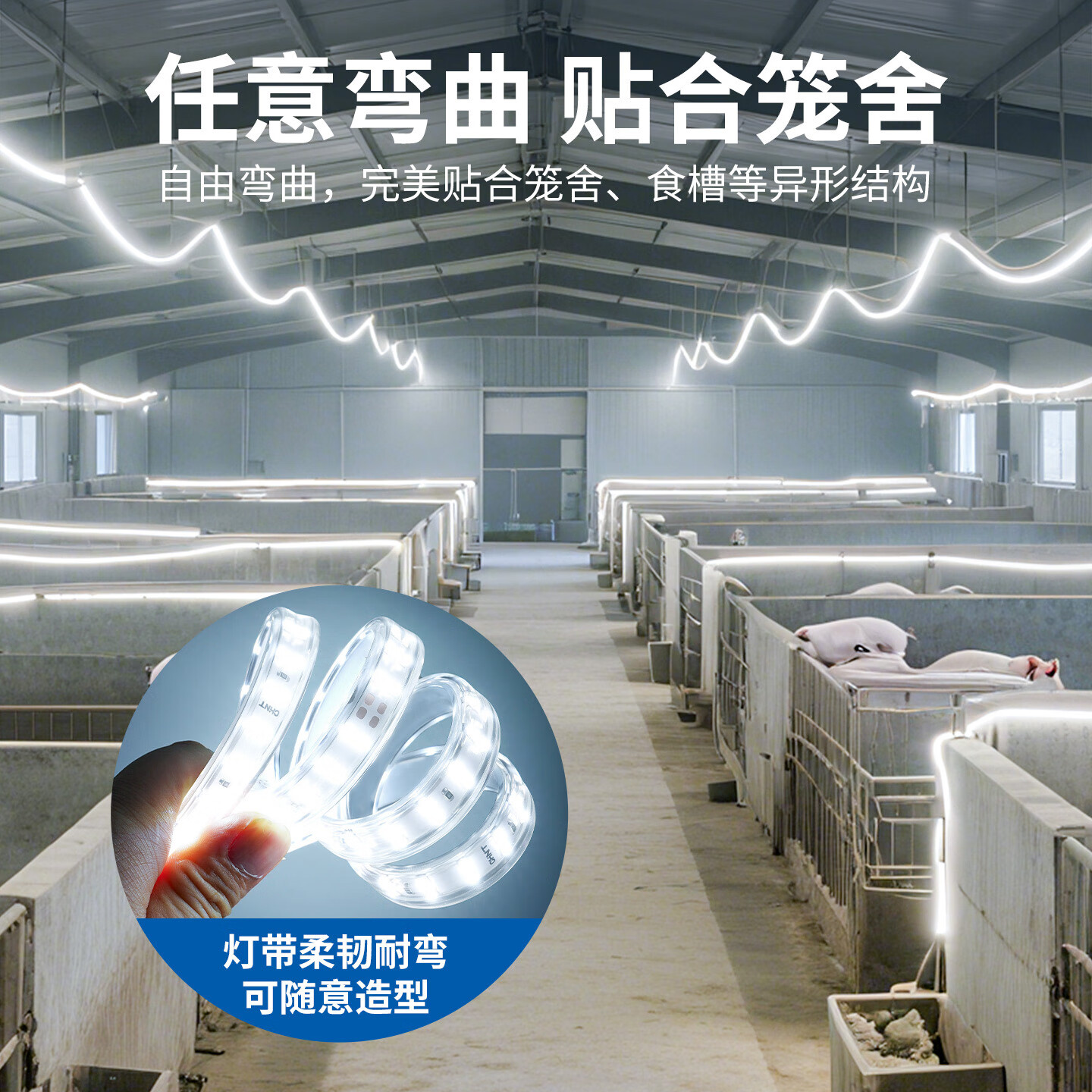 正泰养殖场专用led灯带户外防水220v超亮鸡舍工程工地隧道亮化照明灯 100米【高亮60珠】中性光 【养殖专用】送插头配件