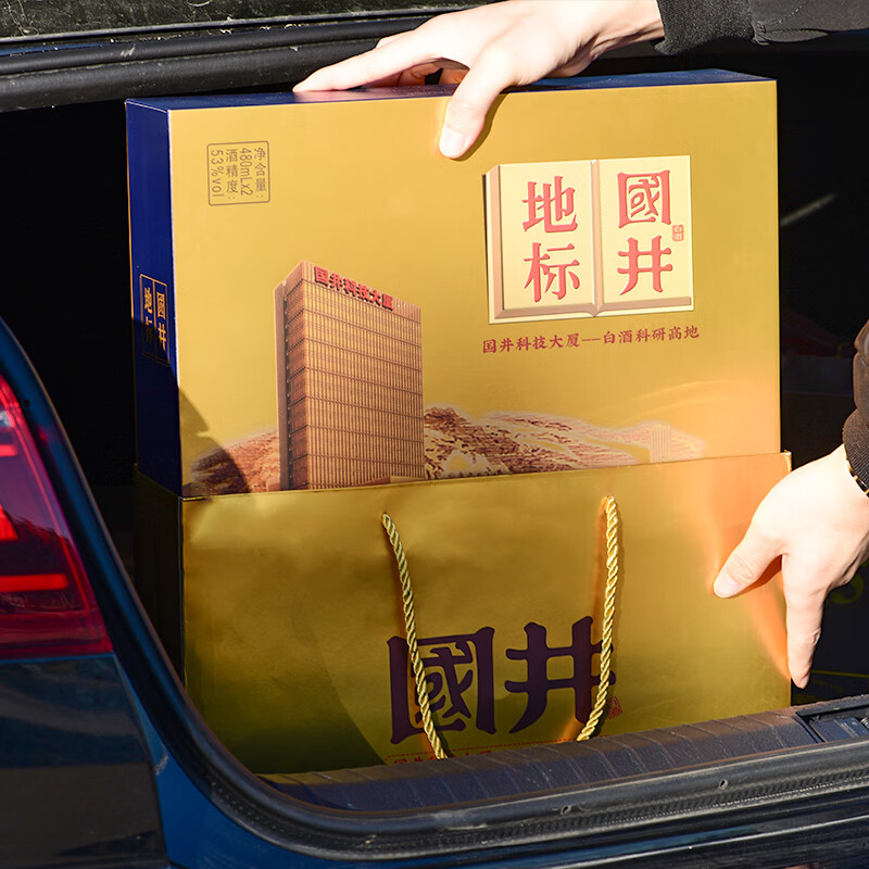 国井白酒 套装53度国井地标+52度鸿运高照 纯粮酿造年货送礼收藏白酒 53度 480mL 2瓶 （以主图为准）
