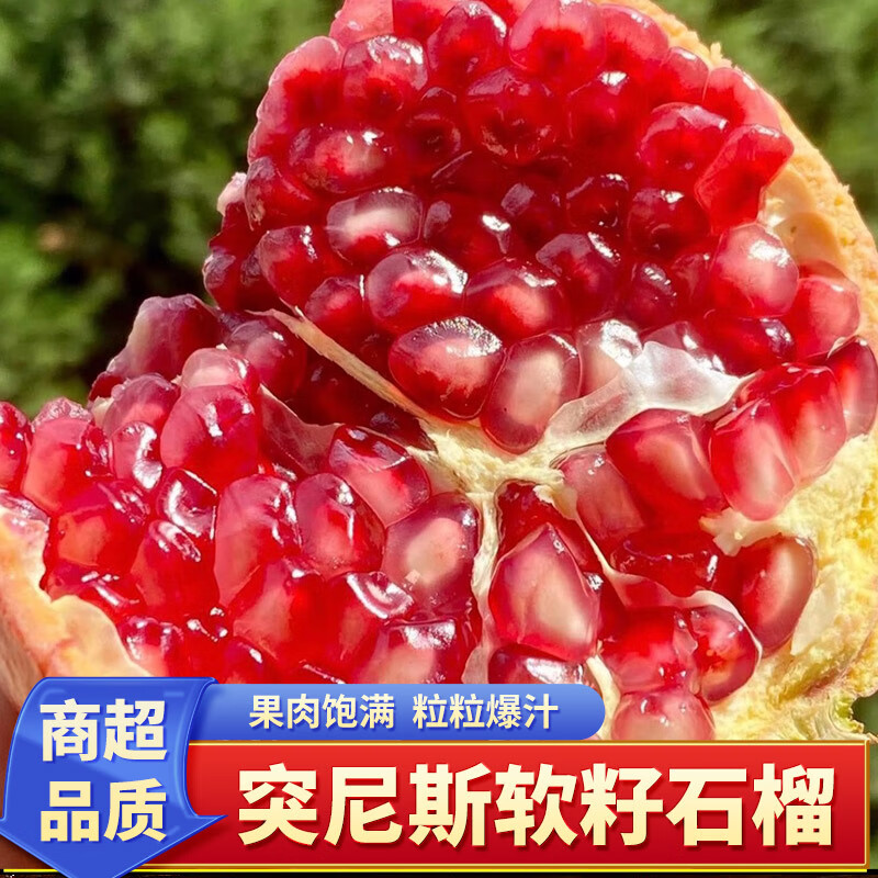 泽华果品正宗突尼斯软子石榴 新鲜应季水果中秋节日礼盒整箱 突尼斯软籽石榴4.5-5斤单果200g+