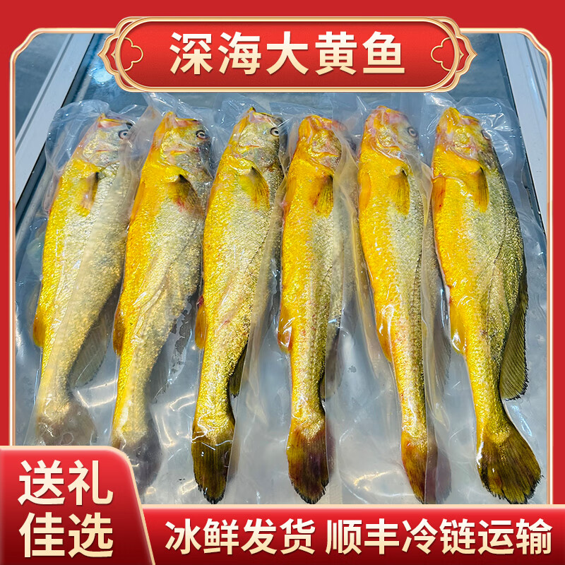 宁德深海大黄鱼半野生超大黄花鱼海鲜礼盒高端海鲜礼盒送礼整箱 1箱【6条装】每条1斤 京东折扣/优惠券