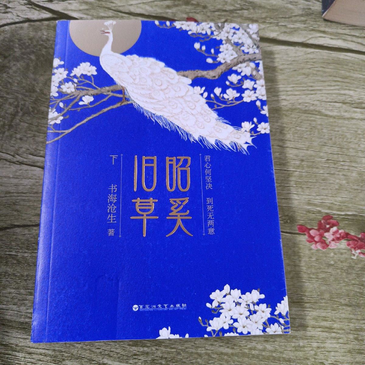 正版旧书昭奚旧草下 书海沧生原版旧书 昭奚旧草下书海沧生