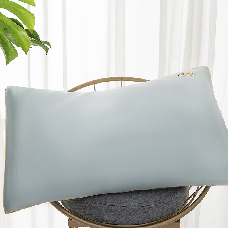 太湖雪兒童蠶絲枕頭枕芯A類(lèi)標準單人小枕頭2-8歲 枕芯+枕套奔跑吧-綠刺繡款40*60c 5cm 4-