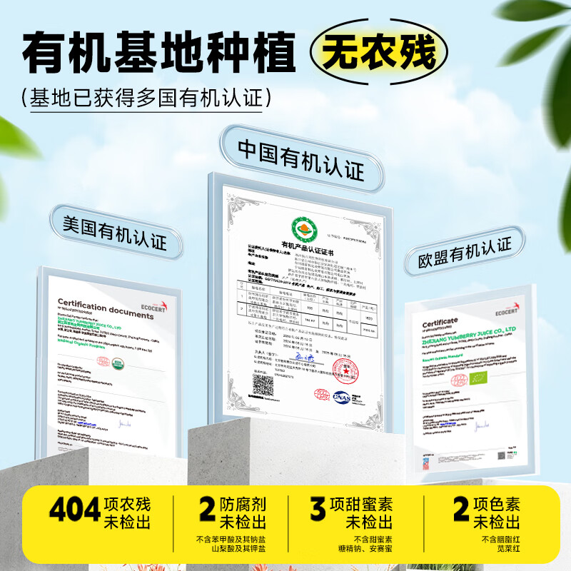 扬百利(yumberry)杨百利杨梅果汁鲜果鲜榨杨梅汁【66颗杨梅】酸甜果蔬汁大瓶1L装 66颗杨梅汁1L装*2瓶