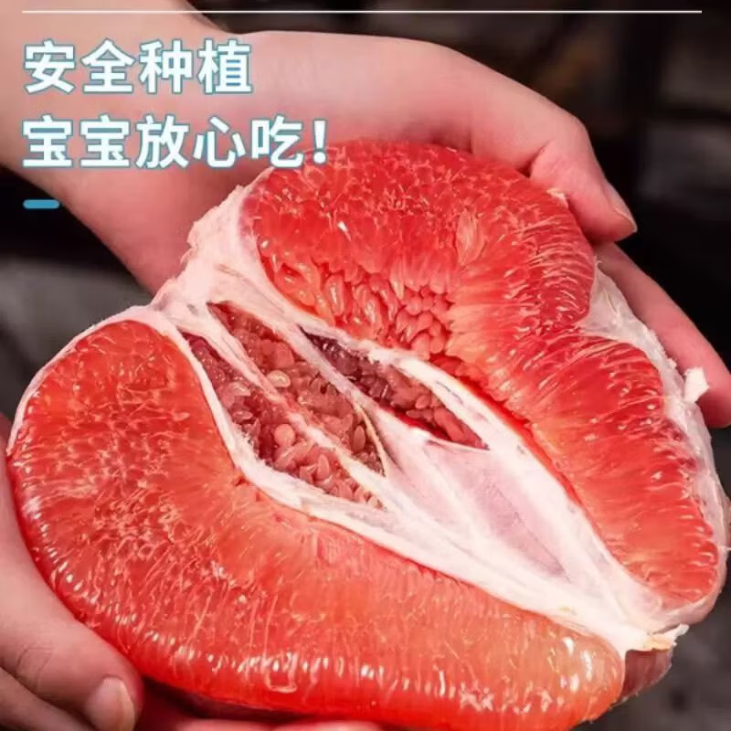颜曼箐福建三红蜜柚红心蜜柚子【高品质】三红蜜柚子当季新鲜水果 5斤装约2-3个果 单果500-850g