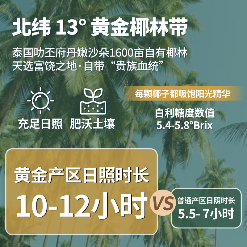 RA.BURI泰国100%天然椰子水泰国电解质果汁饮料断饱腹感0添加年货礼盒 【100%椰子水】246ml*8瓶