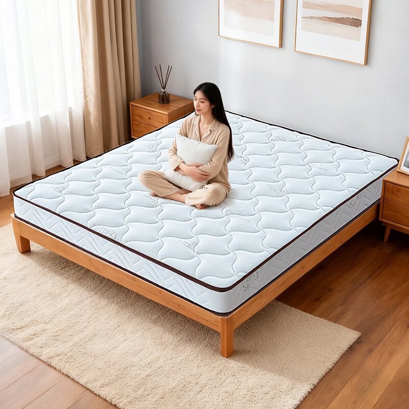 椰棕床垫1.8x2米海马3e环保椰棕床垫家用宿舍薄榻榻米硬床垫子 11cm撑腰舒睡款(防螨混纺面料+1cm记忆棉+7CM椰棕) 0.9X1.9米