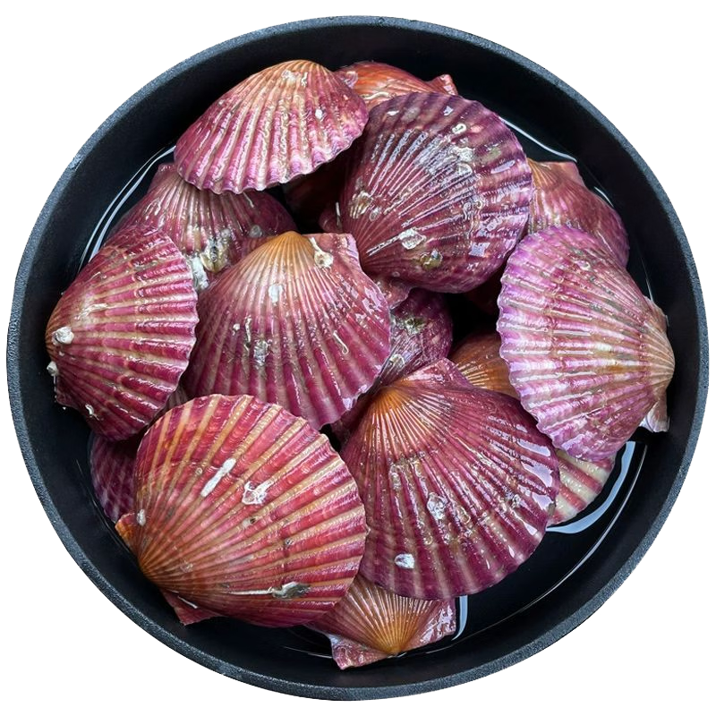 �ʾ��� С�챴�ȱ� ����3�� 10-12ֻ/�� ���ʲ����� 29.9Ԫ