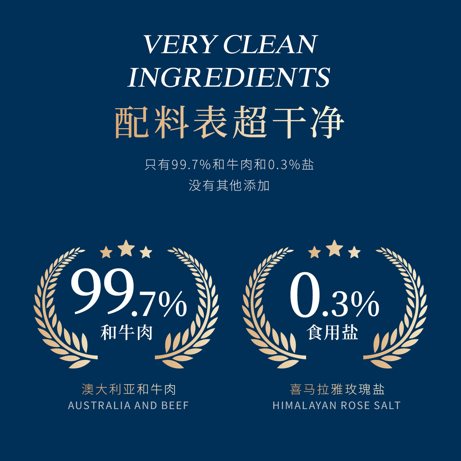 AACO澳洲进口和牛牛肉饼M9原切谷饲330天0添加低脂汉堡肉饼 澳洲和牛肉饼100g*10片