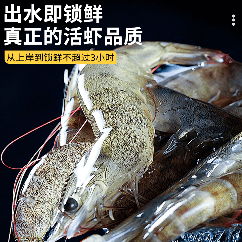 賣魚郎先生厄瓜多爾白蝦大蝦鮮活速凍鹽凍2030南美白蝦基圍蝦海蝦對蝦類海鮮 3300g 1斤(凈重)  19-22cm