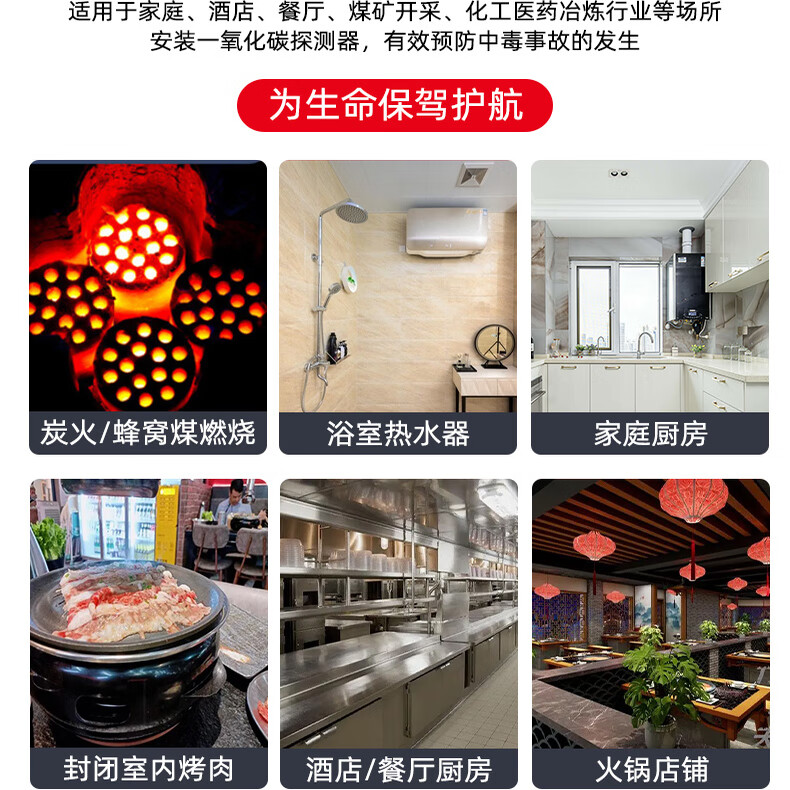 立可安一氧化碳报警器家用煤烟烧炭co浓度探测器煤气户外一氧化碳检测仪 一氧化碳报警器（150PPM起报，2年电池）