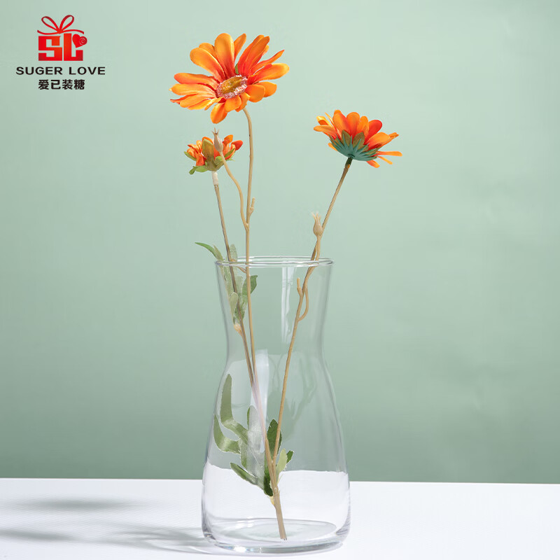 爱已装糖 透明玻璃艺术花瓶简约插花瓶水培容器生日礼物客厅装饰摆件20cm