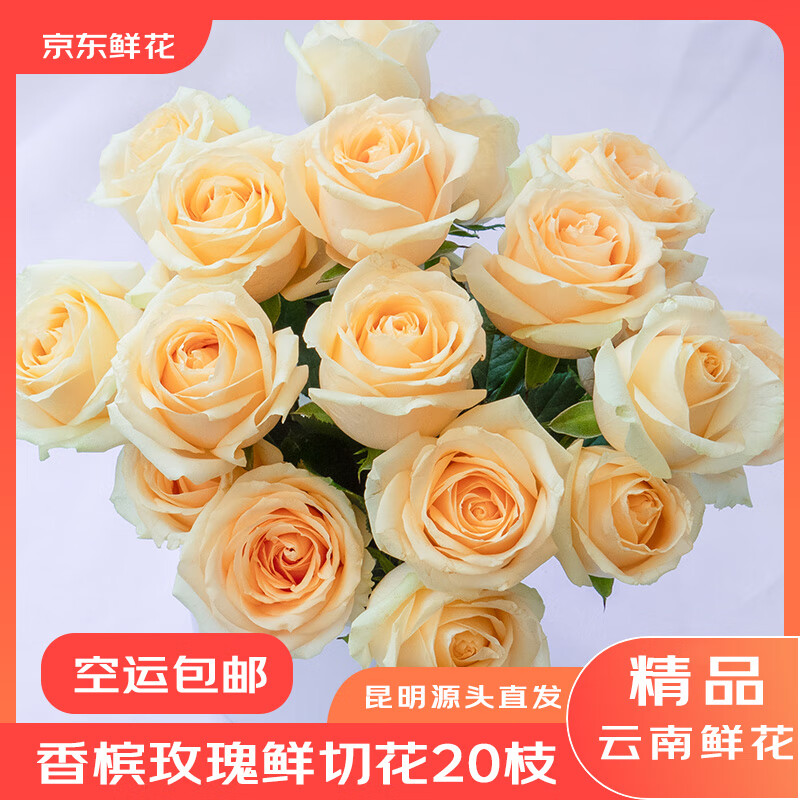 京东鲜花云南昆明基地直发20支香槟玫瑰源头直发