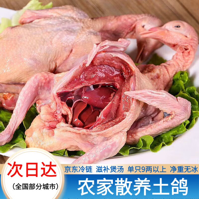 鸽子新鲜现杀鲜活土鸽子农家散养鸽子肉炖煲汤乳鸽生鲜鸽子汤食材 农家散养鸽(带头带爪) 散养土鸽4只(单只重量7-8两)