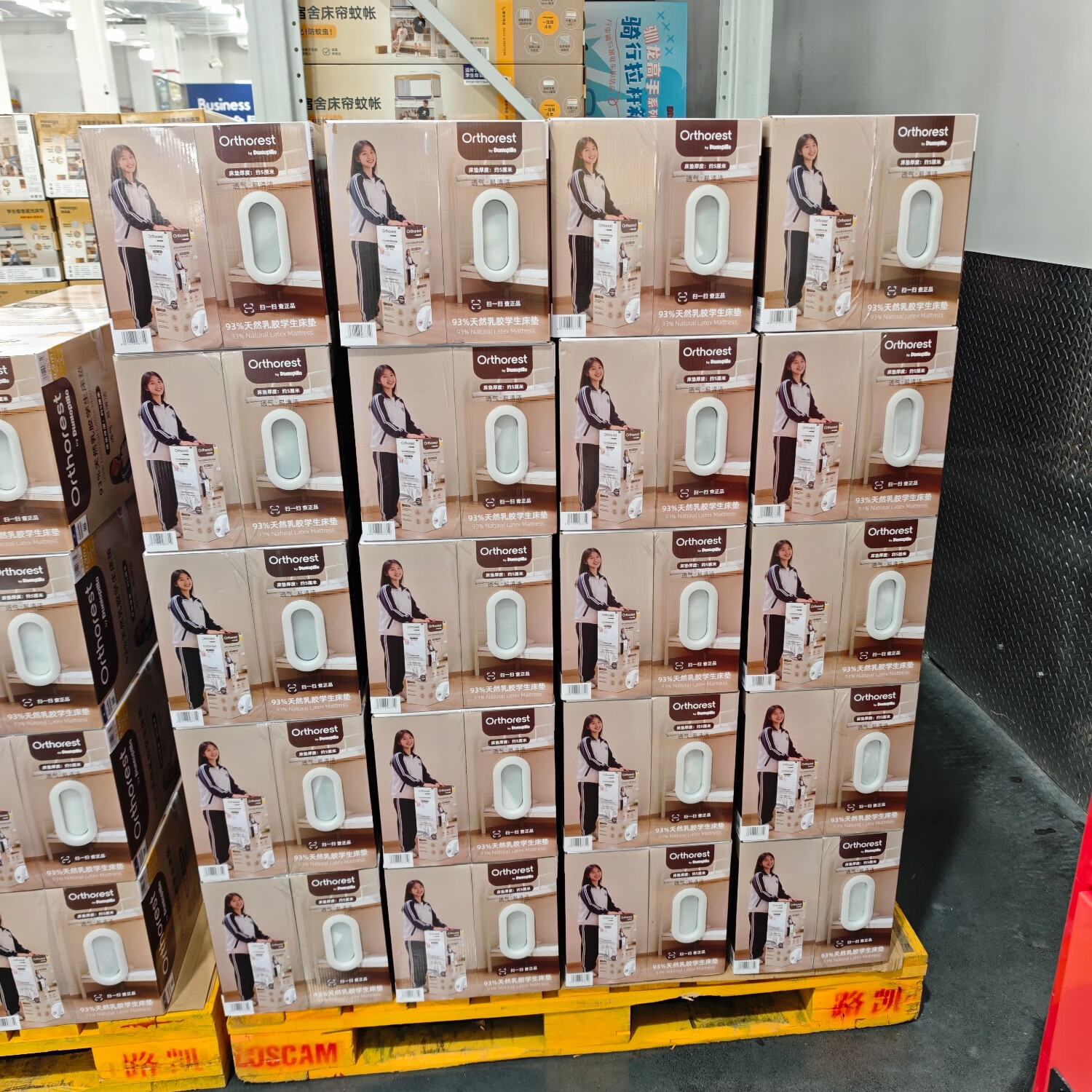 山姆商店 奥多俪93%天然乳胶学生宿舍床垫约5cm床垫厚度有效支撑 学生宿舍乳胶床垫(不支持退换) 190cm*90cm 5cm