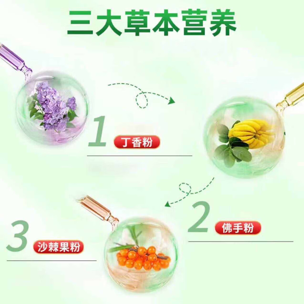 同仁堂北京同仁堂丁香佛手沙棘片草本植物萃取调理肠胃去除口气口臭口苦 丁香佛手沙棘片【5盒】巩固装 【药房同款】