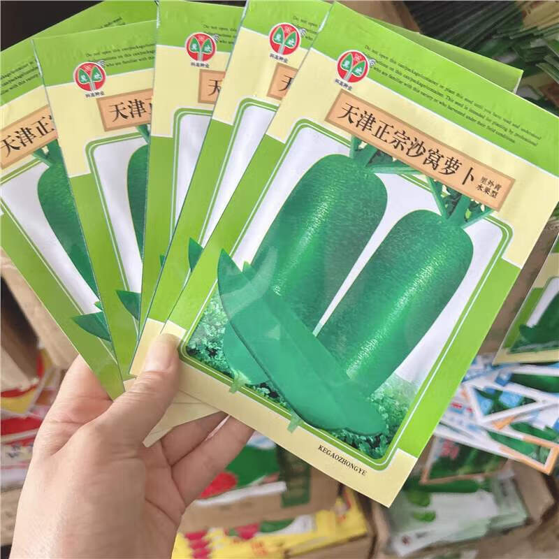 天津科润七星水果萝卜种籽孑绿皮绿肉口感甜脆抗病杂交青萝 沙窝萝卜
