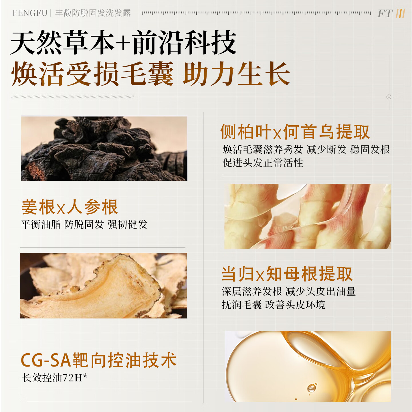 紫郁生姜洗发水防脱育发固发养发护发素套装去屑止痒控油持久蓬松男女 T号防脱洗发水500ml*2【两件超值装】