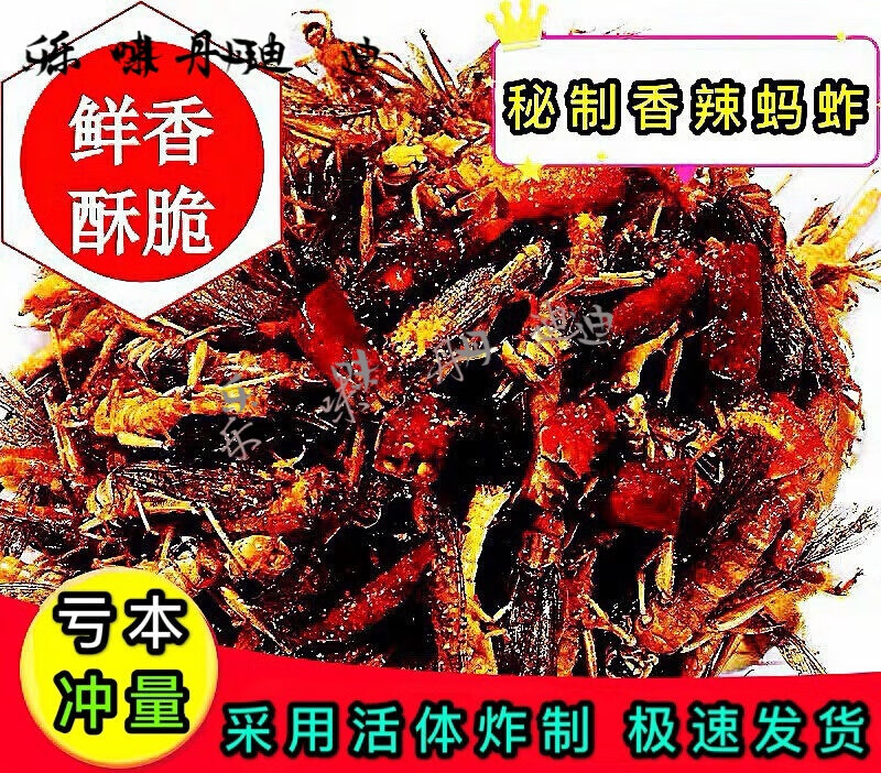 维霆新鲜香辣蝗虫油炸蚂蚱即食零 鲜香麻辣 试吃30只品尝/好吃再来