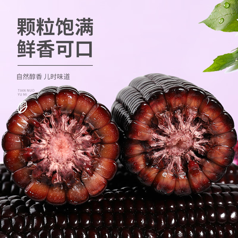 珍谷诱惑25年甜糯玉米 东北黄糯玉米 真空玉米棒杂粮 软糯鲜香 非转基因 小黑糯玉米12支 2.4kg