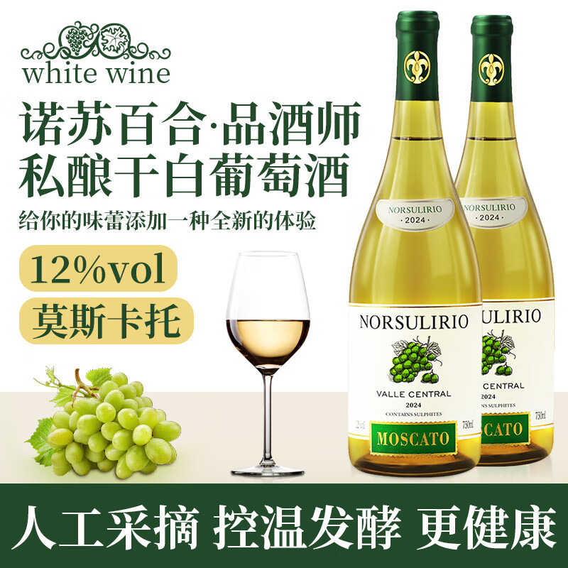 接运猫RICH智利中央山谷诺苏百合品酒师私酿750ml干白葡萄酒1支装