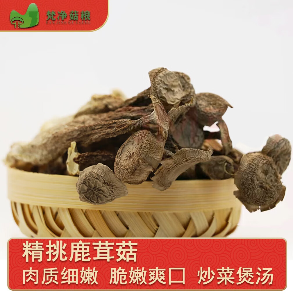 梵净山炖汤火锅炒菜高山精选鹿茸菇250g