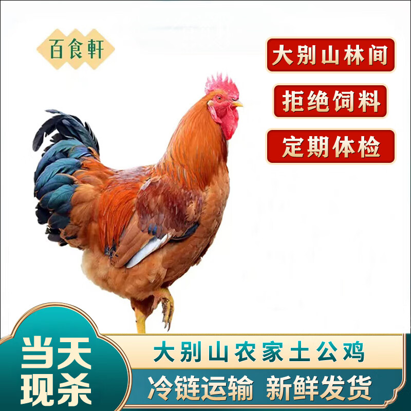 百食轩（baishixuan）【买一赠一】安徽大别山农家土公鸡 2.7斤/只 源头直发