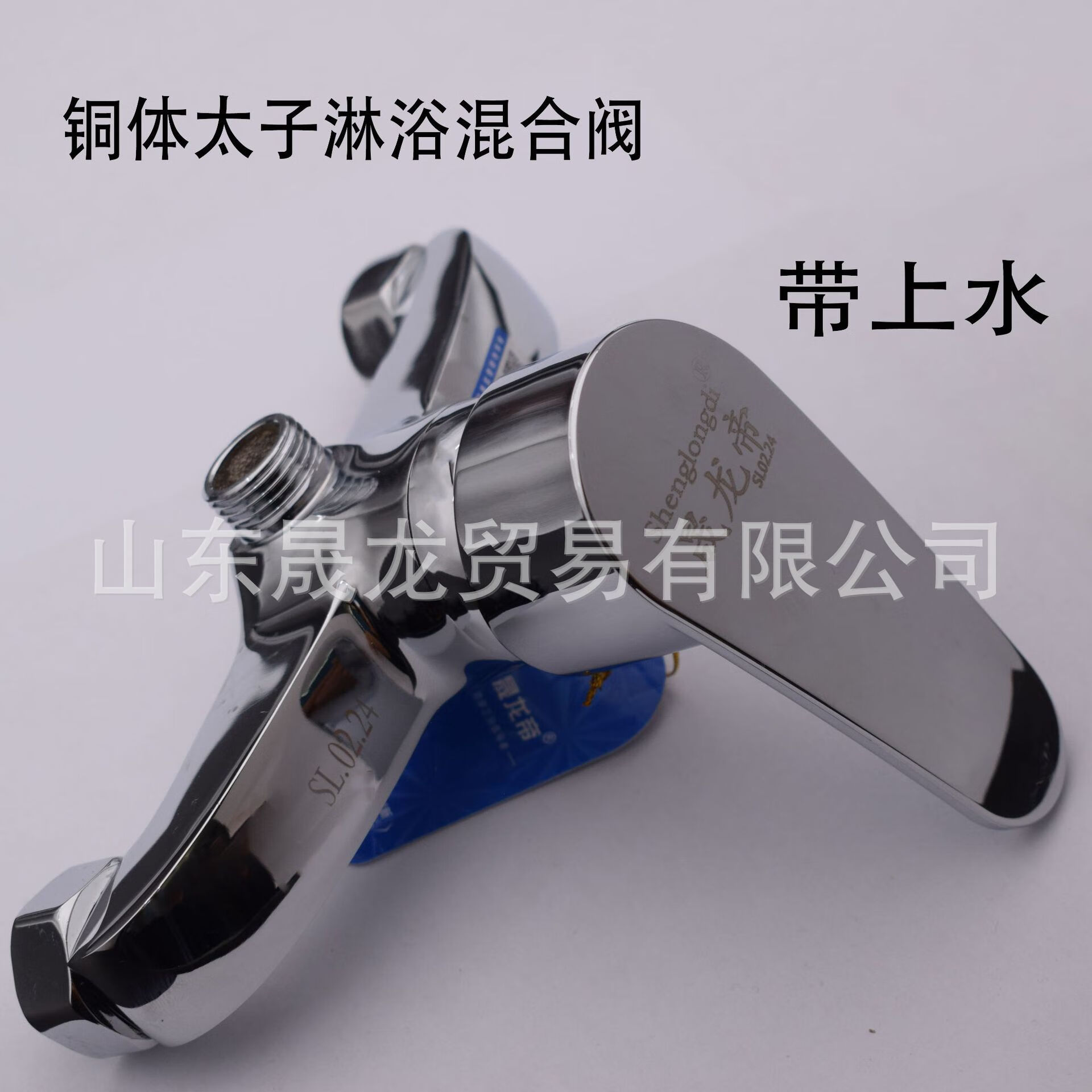 晟龙帝纯铜体太阳能暗装太子淋浴混合阀花洒混水阀冷热水龙头暗装