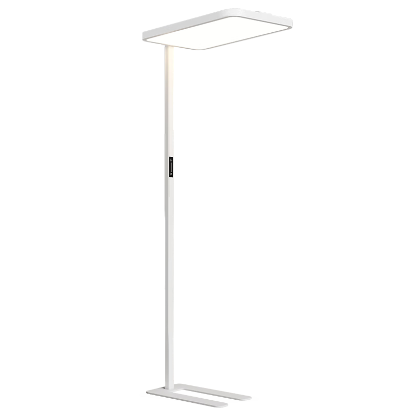 ���� ����2�� ��ʽ����̨�� ȫ����ѧϰ�Ķ��� ��ͯ��������֤ 518.41Ԫ