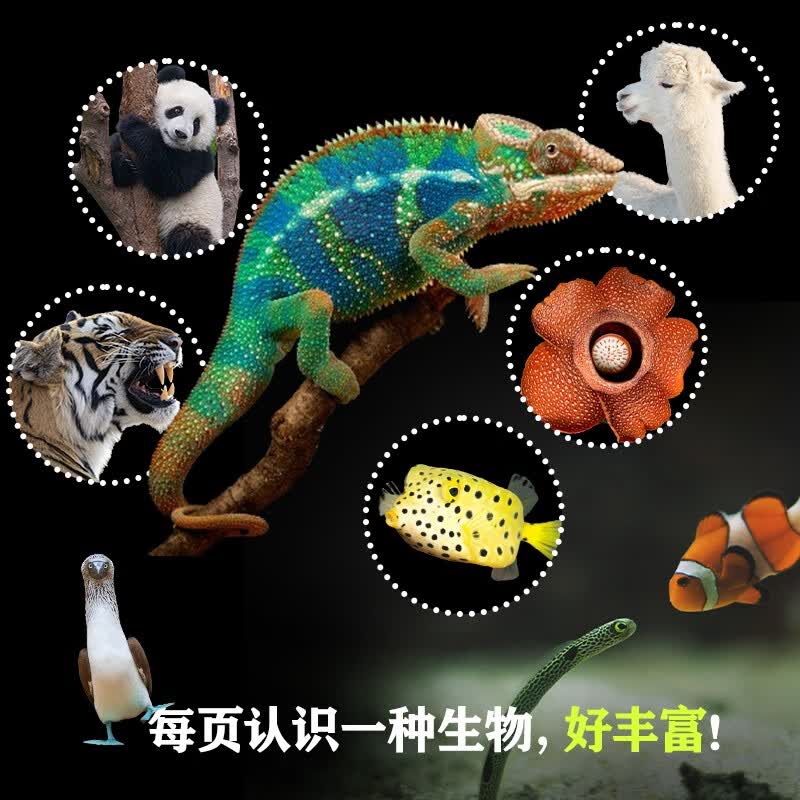 图 3