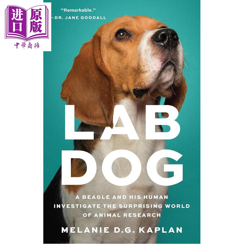 预售 实验犬 比格犬和动物研究的惊人世界 Lab Dog 英文原版 Melanie DG Kaplan