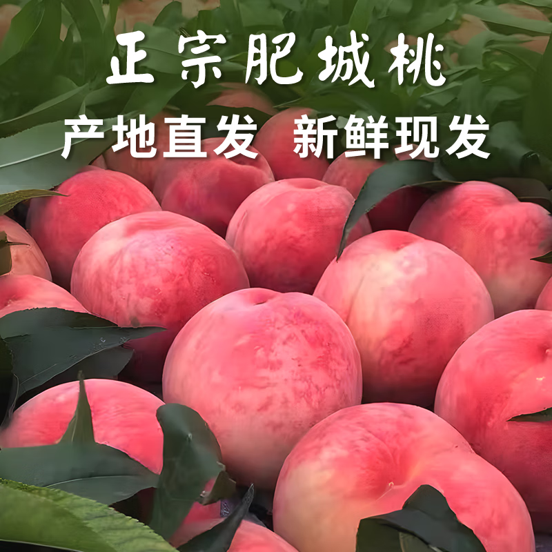 山东肥城正宗肥城刘台水蜜桃新鲜应季水果脆甜桃子整箱礼盒装发货 6只装丨单果6-7两【精品礼盒装】 京东折扣/优惠券