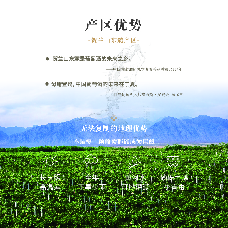 榜荣前程宁夏国产红酒 贺兰山东麓产区 双有机酒庄橡木桶赤霞珠干红葡萄酒 榜荣前程-蛇龙珠【双支开怀】