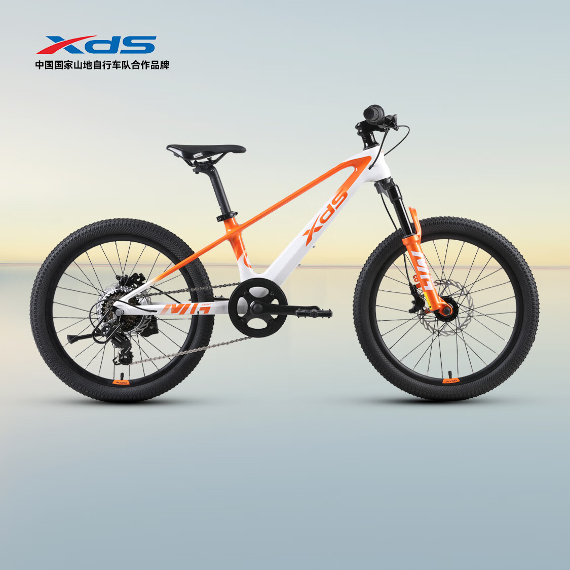 喜德盛青少年自行车镁骑士镁合金车架7速油刹运动健身车 25款镁骑士夏日柑橘20寸 7速 20英寸