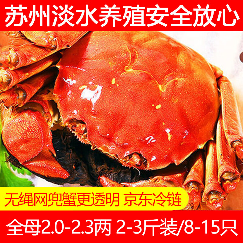 【活蟹】神行蘇州網(wǎng)兜蟹河蟹螃蟹鮮活大閘蟹無(wú)繩凈重  生鮮禮盒 公3.0兩母2.0兩【2斤】6-8只