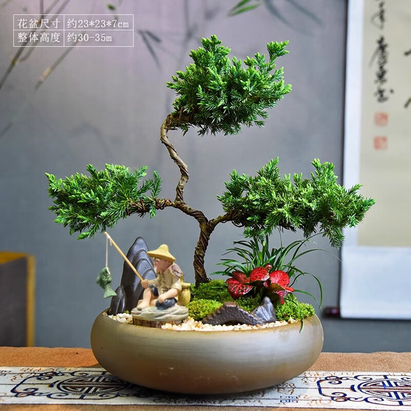 真柏盆栽室内办公室开业绿植迎客松造型茶桌绿植盆景真树桌面摆件 境林艺术3层真柏+简古底座+渔夫 送营养液和喷壶