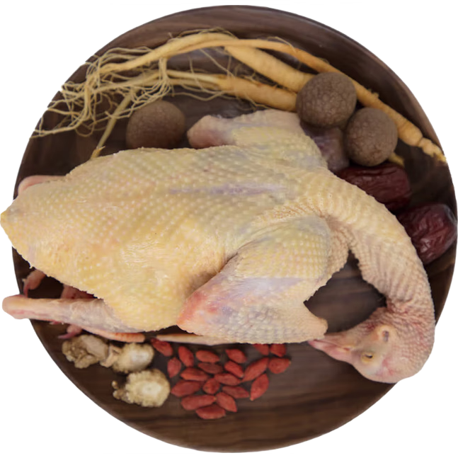 農(nóng)家散養(yǎng)肉鴿300g/只 整只鴿子肉生鮮煲湯脆皮燒鵝食材燒烤冷凍 300g/只*2袋