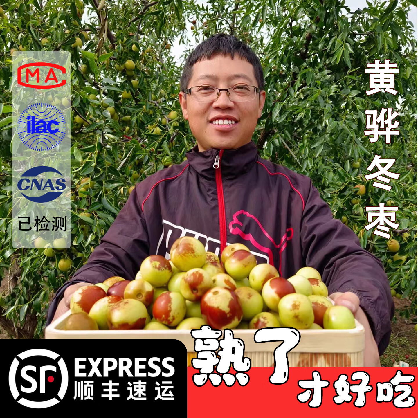 河北沧州黄骅脆冬枣新鲜大枣黄华黄桦黄烨冬枣特产店孔店冬枣顺丰 5斤 特级 3.5cm