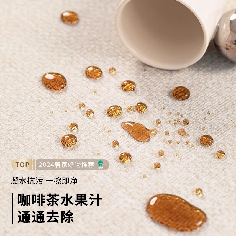 鸿荔达地毯客厅卧室2026新款床边免洗可擦房间防水免打理轻奢高级感地垫 圈绒-黑方公园-透气款 200×300cm【4人沙发通用店长推荐尺寸】