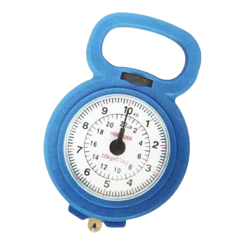 手提秤高精度手提称便捷式家用行李随身带勾称小型手提多功能电子称 迷你手提秤-混色-1个