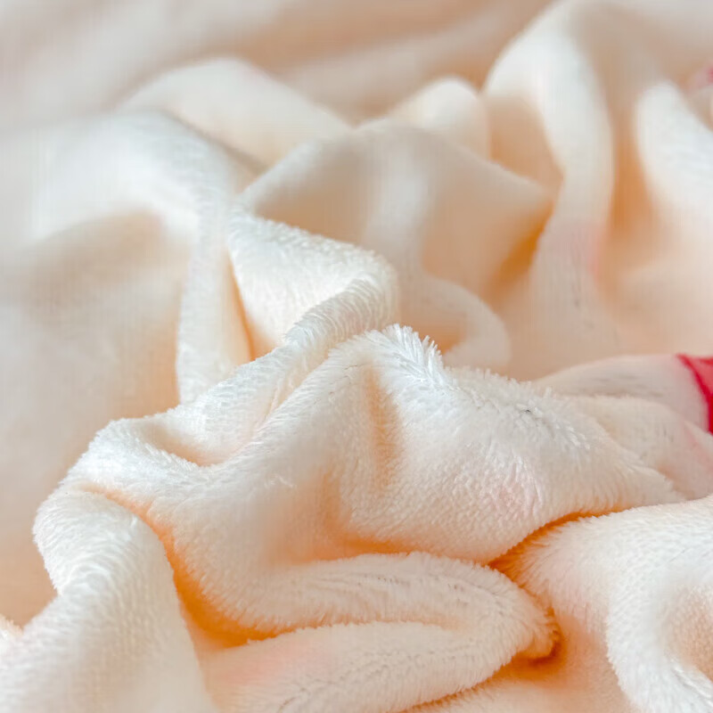 软贝小清新牛奶绒床上四件套保暖毛绒床单被套学生宿舍秋冬款三件套 蝴蝶结 床单款 2.0m  被套200*230cm 四件套