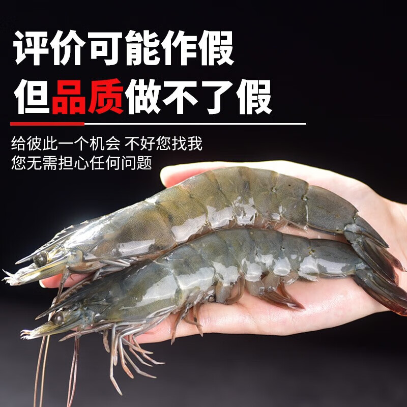 龙味福 虾南美厄瓜多尔白虾特大虾青虾海捕基围对虾冰虾冻虾海鲜水产 【大号无冰】15-18cm 3斤(净重)  【无冰】单只冻