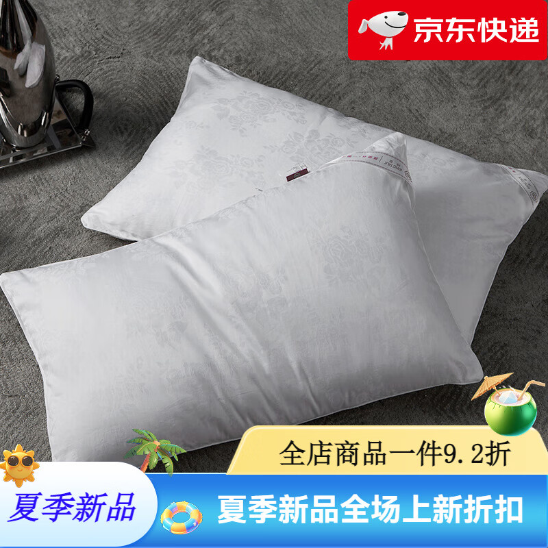 錢皇蠶絲枕 10%桑蠶絲枕頭護頸椎助睡眠夏季家用枕芯 白色1只裝_48*75【10%蠶絲填充_