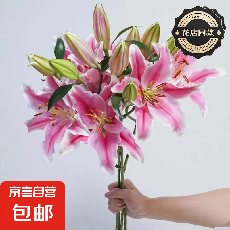 【香水百合】花店同款七夕礼物送人鲜花云南基地直发混搭鲜切花1 百合粉色9朵（不指定品种）