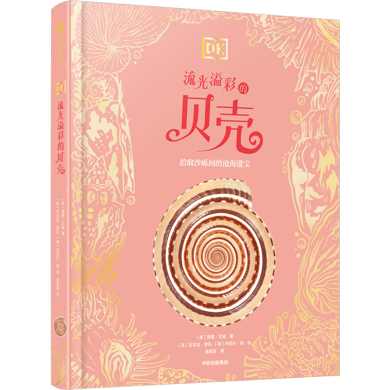 DK���沩��� ������ʱ���