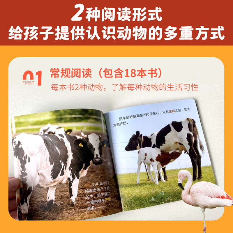 动物认知小百科(全24册)赠音频 0-2-4岁幼儿认知动物科普儿童趣味早教科普启蒙绘本中国世界动物百科全书幼儿园大象帝企鹅熊猫长颈鹿斑马绘本揭秘动物生活动物大百科 动物认知小百科