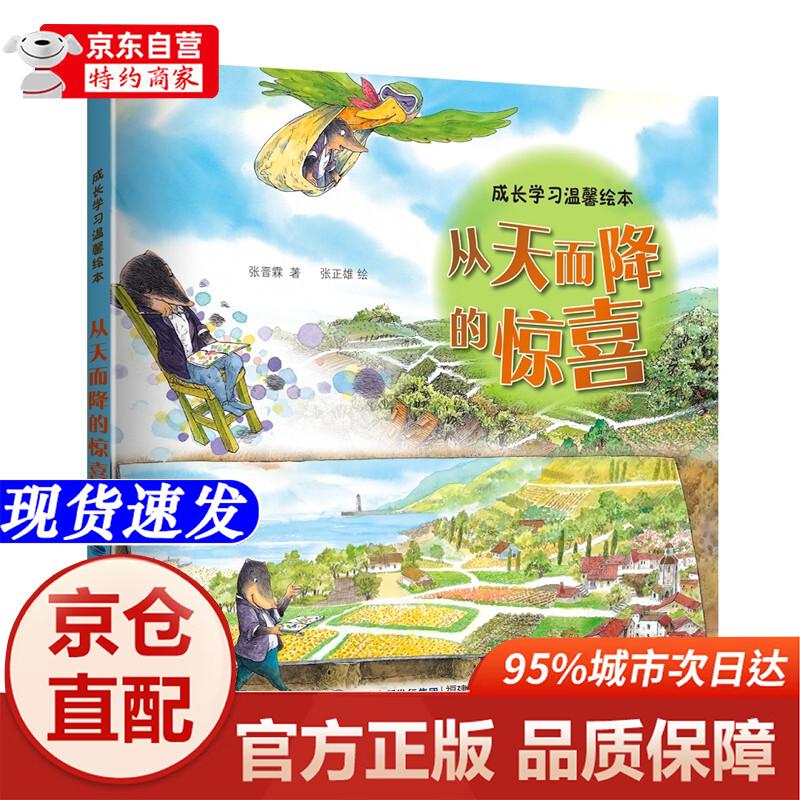 从天而降的惊喜