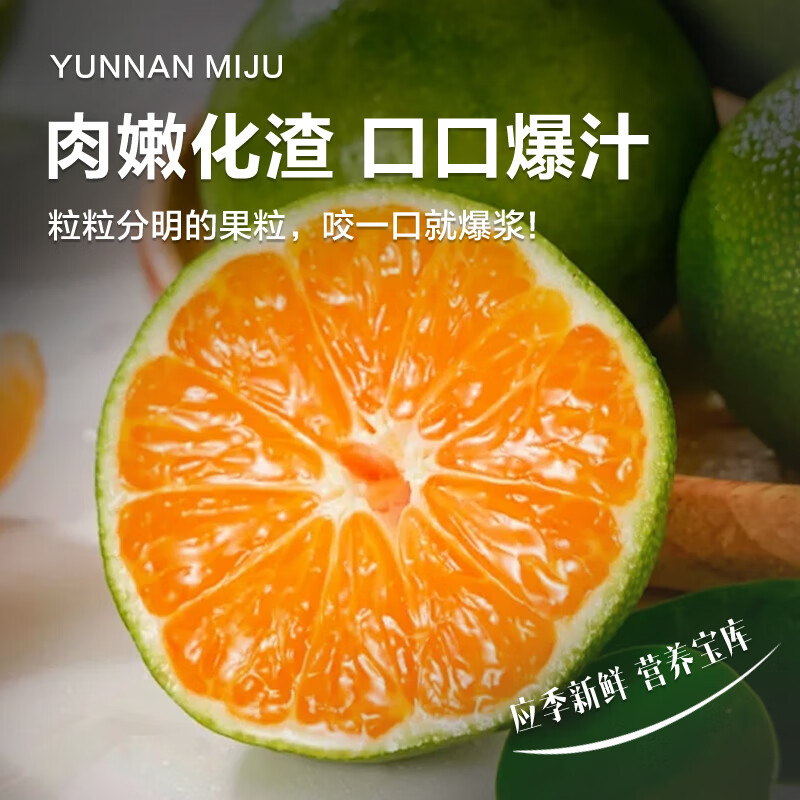 橙先森正宗云南蜜橘 新鲜青皮蜜桔 橘子 当季 水果 生鲜 桔子 配送 孕妇 净重5斤 单果55-60MM