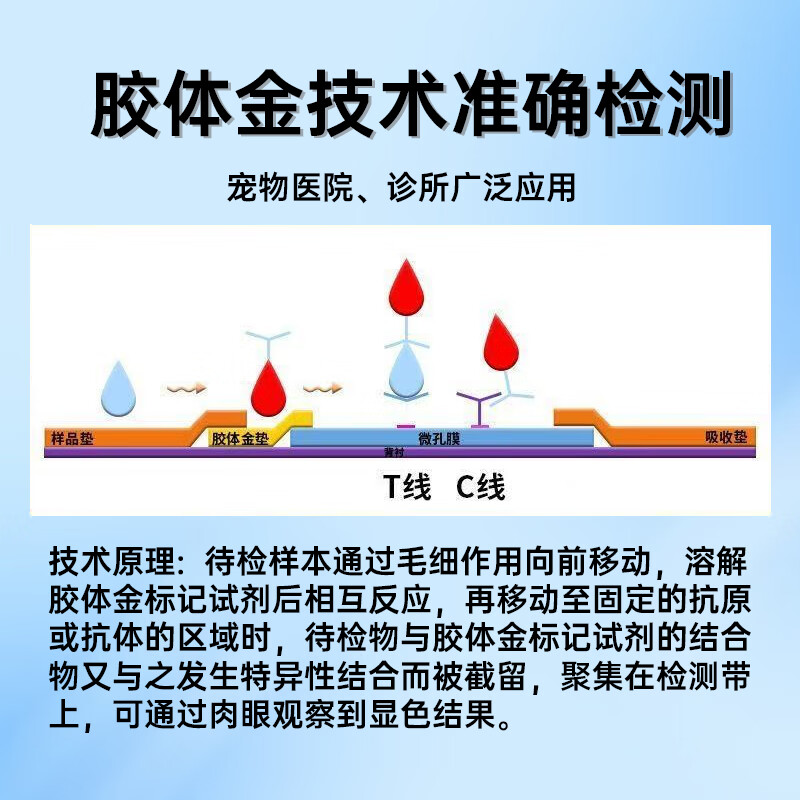 弓形虫检测试纸猫咪狗狗TOXO病毒检测卡医院同款犬猫通用顺丰包邮 弓形虫试纸1盒【买2盒送1盒】 医院同款（ 高精准度99.99%）