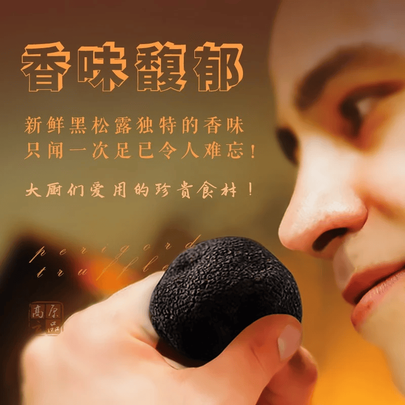 高原云品【全黑全成熟】冻鲜黑松露 云南菌菇  航空速达  全黑全成熟 2-3厘米 200克